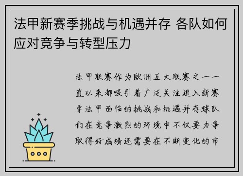 法甲新赛季挑战与机遇并存 各队如何应对竞争与转型压力
